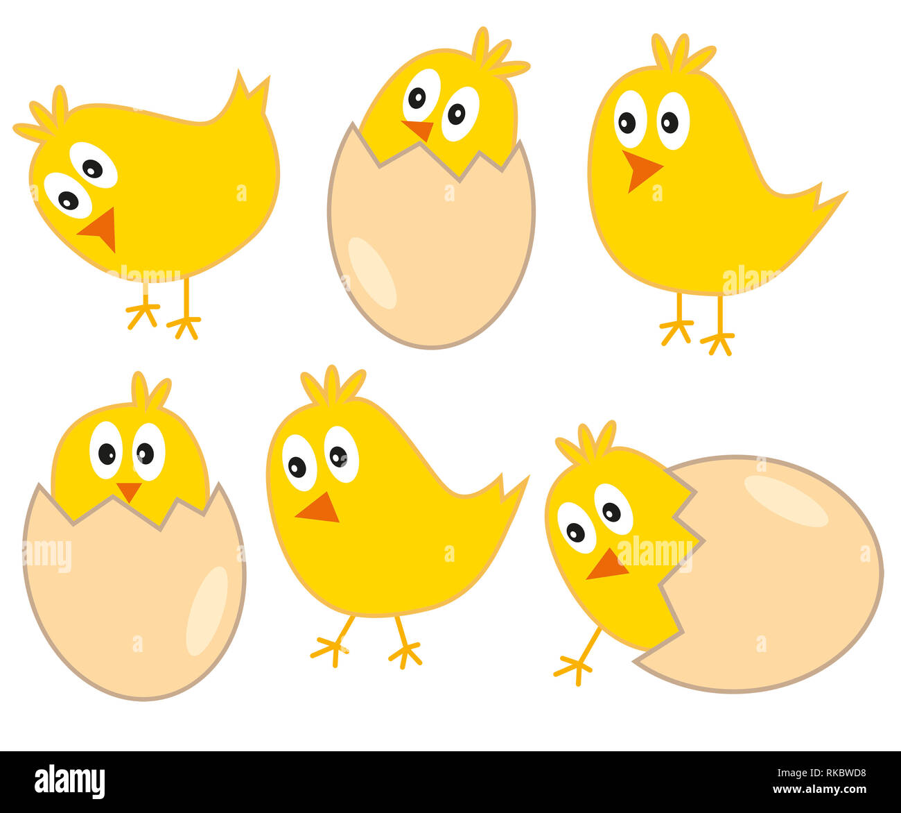 Cute yellow easter chickens with eggs - vector illustration isolated on  white background Stock Photo - Alamy, image size:1300x1172