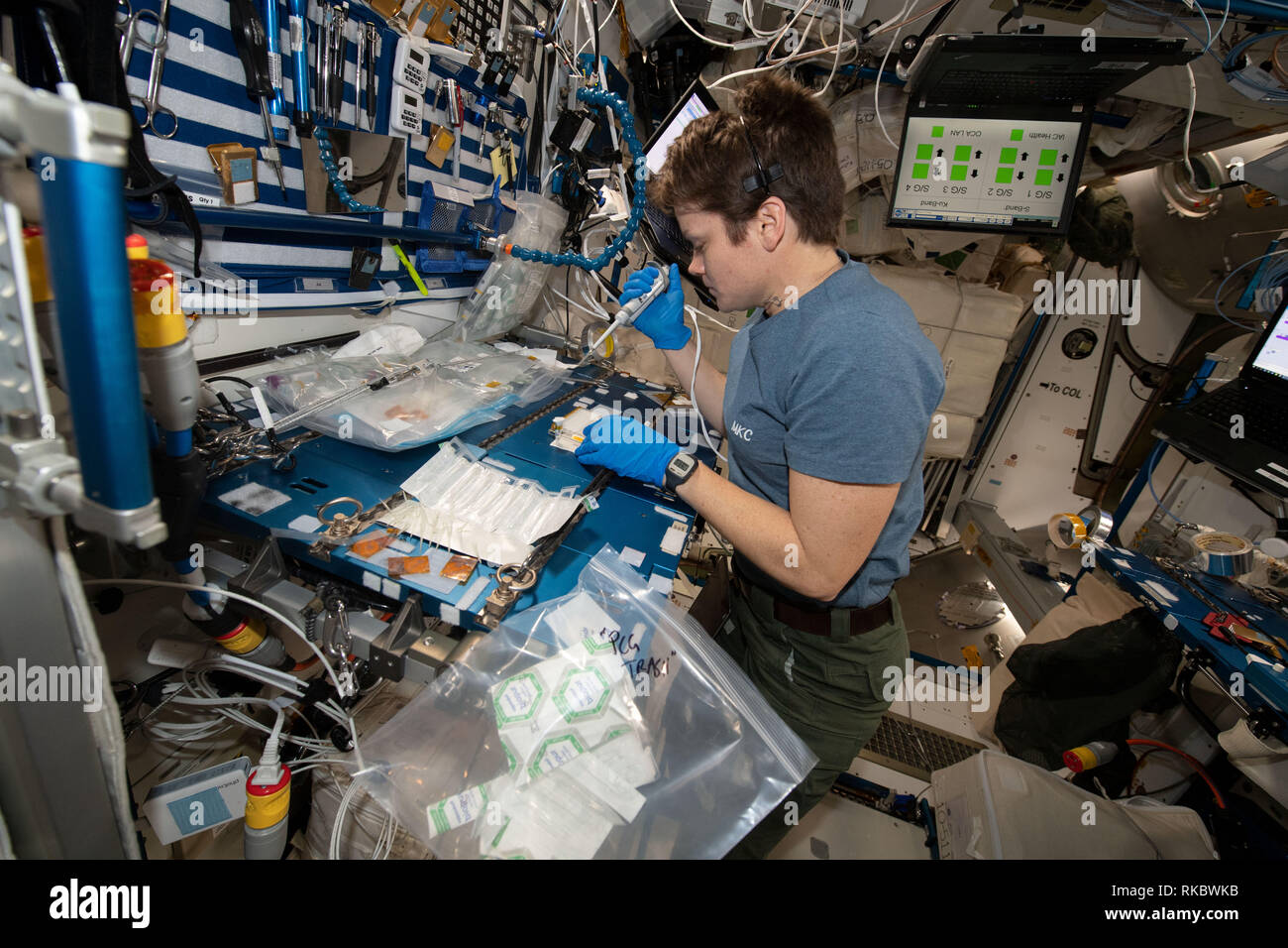 NASA astronaut Anne McClain works inside the Unity module conducting research operations for the Protein Crystal Growth-16 experiment aboard the International Space Station January 2, 2019 in Earth Orbit. The Protein Crystal Growth-16 experiment is exploring therapies for treating Parkinson's disease. Stock Photo