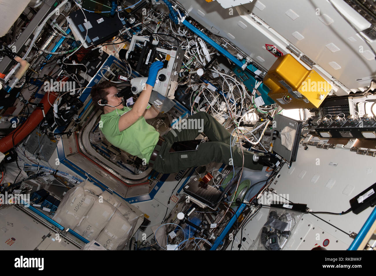 NASA astronaut Anne McClain peers into a microscope and takes photographs for the Protein Crystal Growth-16 experiment aboard the International Space Station January 3, 2019 in Earth Orbit. The Protein Crystal Growth-16 experiment is exploring therapies for treating Parkinson's disease. Stock Photo