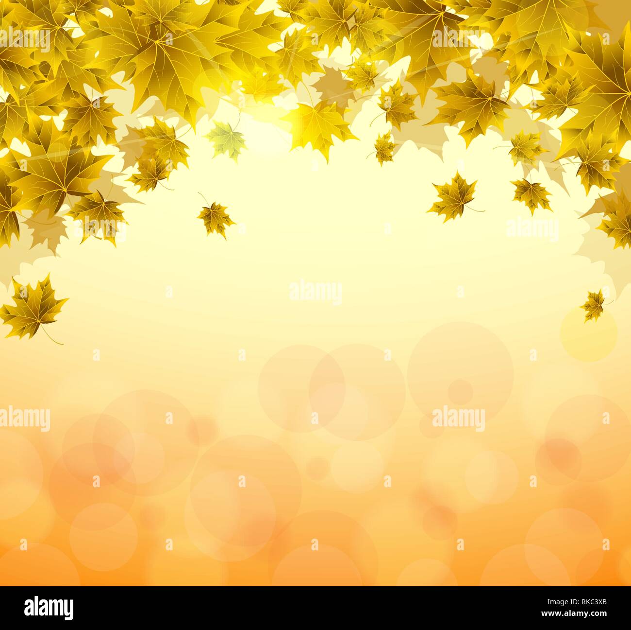 Frame of yellow and orange leaves of maple. Sunny autumn or summer day. Awakening of nature. Cover or background for an article. Stock Vector