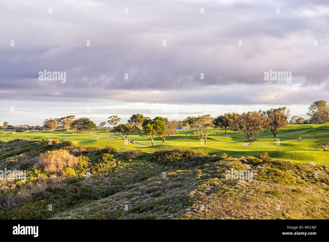Torrey Pines Golf Course. La Jolla, California, USA. Stock Photo