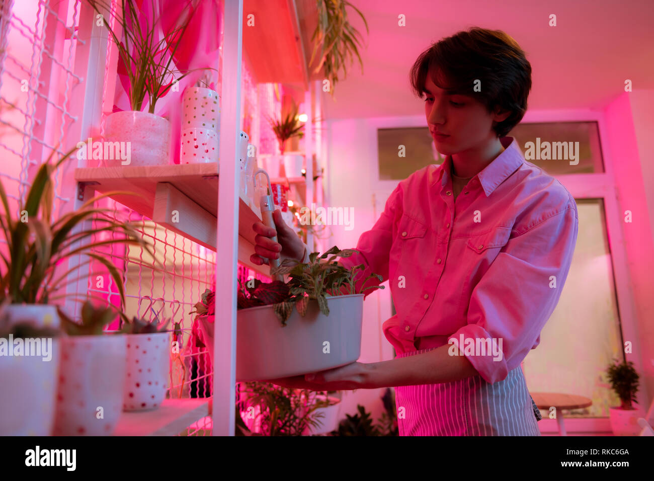 Calm young man holding wide pot with plant Stock Photo - Alamy
