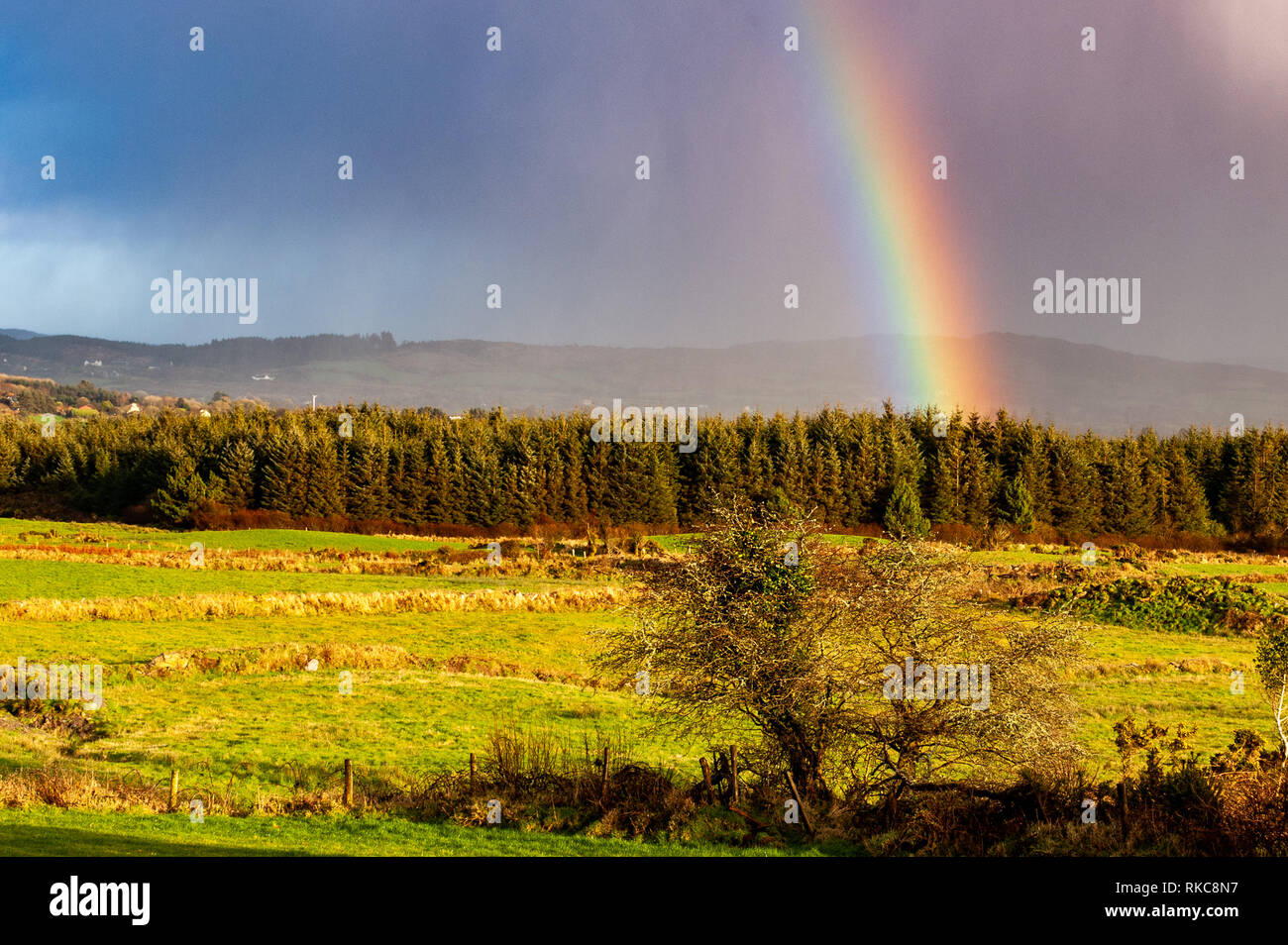 Ballydehob, West Cork, Ireland. 10th Feb, 2019.  A rainbow appears over Ballydehob after a very cold, mixed day of sunshine and wintry showers.  Next week will become milder. Credit: Andy Gibson/Alamy Live News. Stock Photo