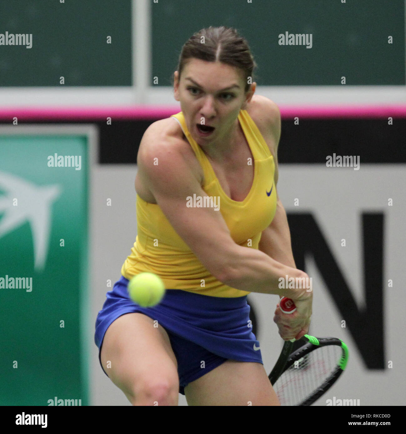 Ostrava, Czech Republic. 10th Feb, 2019. Romanian tennis player Simona Halep  in action during the match against Karolina Pliskova of the Czech Republic  during the Fed Cup World Group, 1st Round, between