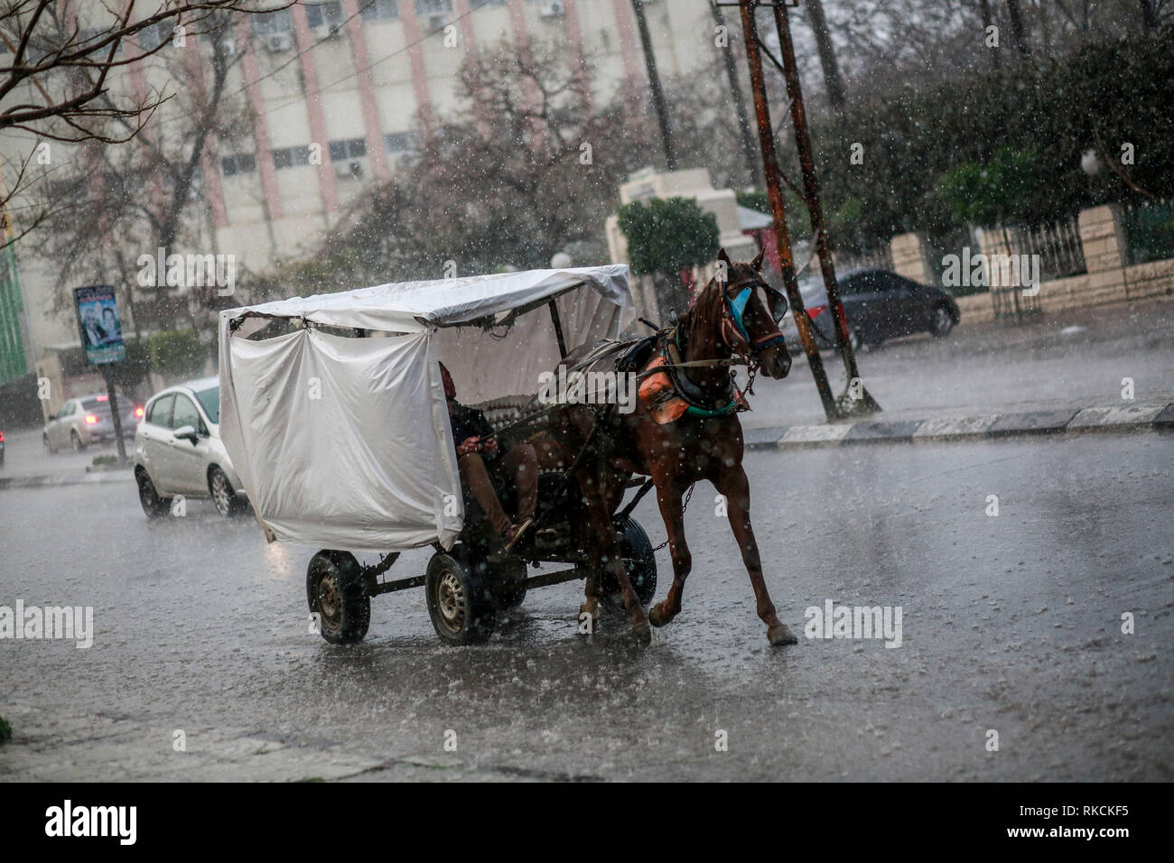 A Palestinian businessman seen moving on a  horse cart after a heavy rainfall in Gaza City. Stock Photo