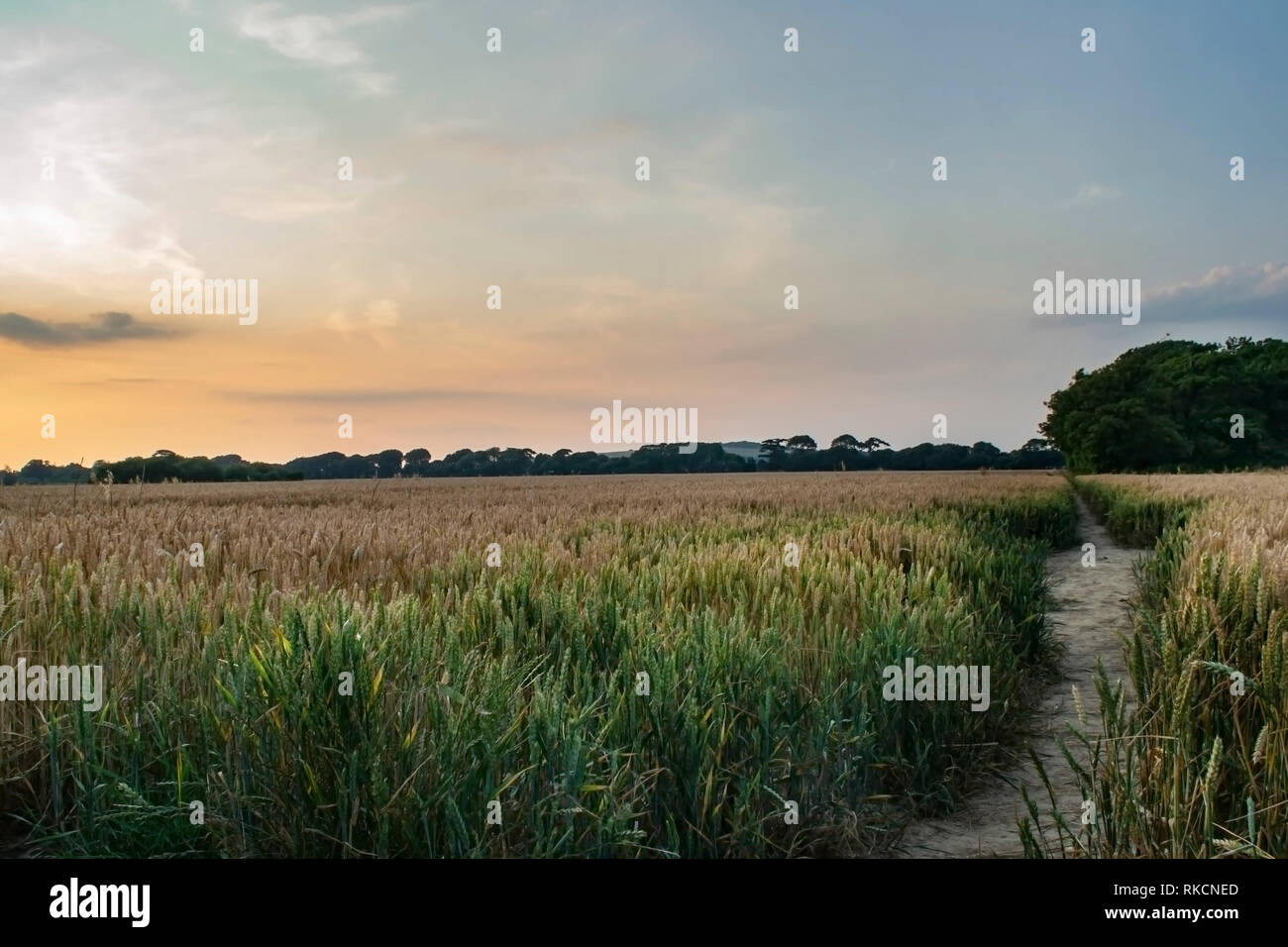 sun setting over a field in Worthing, West Sussex, UK Stock Photo
