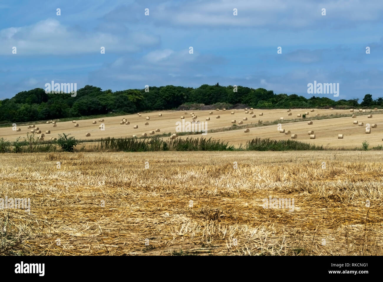 View across the south downs showing baled up rounds of hay dotted across the landscape Stock Photo