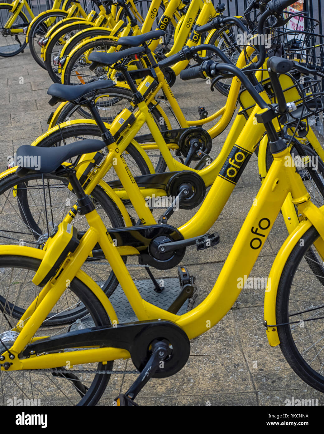 yellow rental bikes