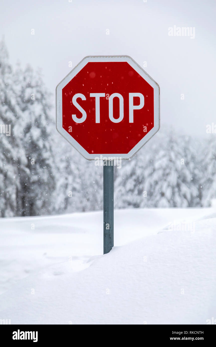 Stop sign on a snow covered road Stock Photo