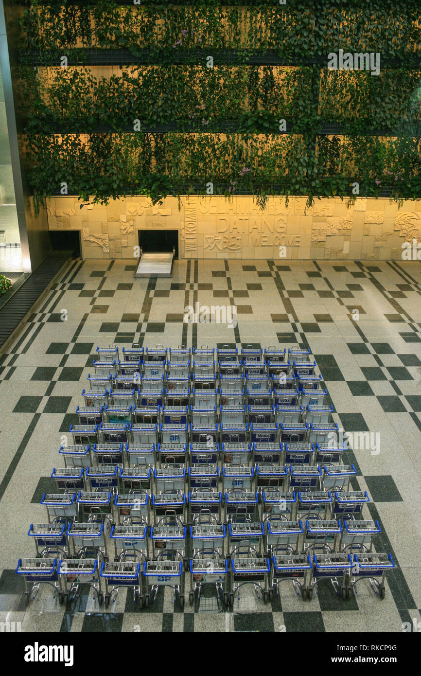 Luggage trolleys in the Arrivals Hall at Changi Airport, Singapore Stock Photo Alamy