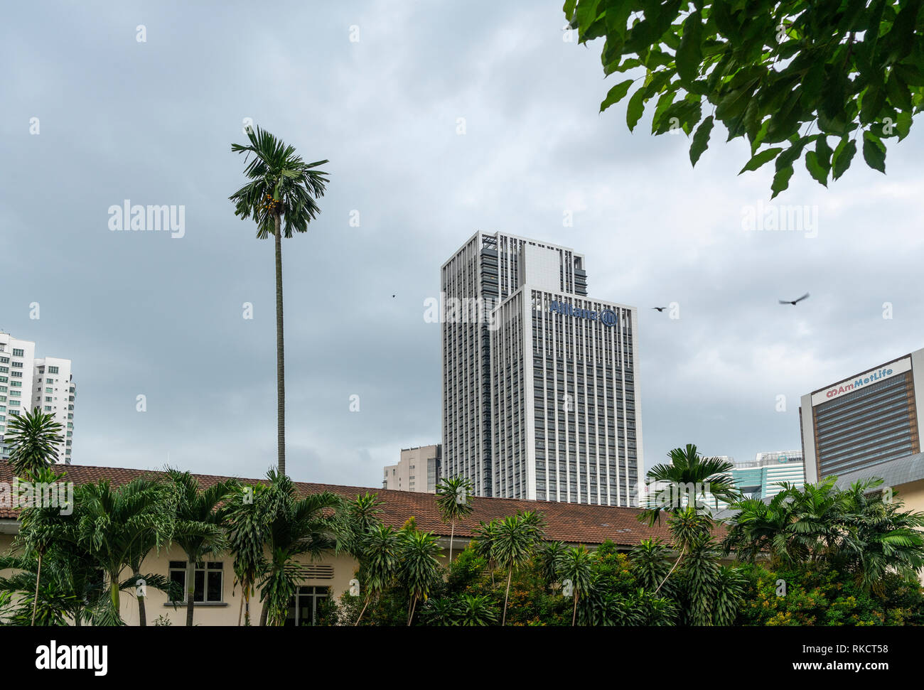 Kuala Lumpur, Malaysia. January 2019.  The skyscrapers between the vegetation Stock Photo
