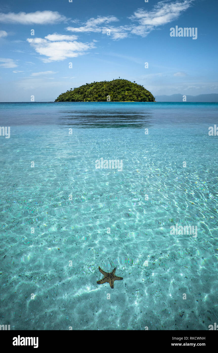 Starfish in crystal clear turquoise sea water, with small round island - Bonbon Beach, Romblon, Philippines Stock Photo