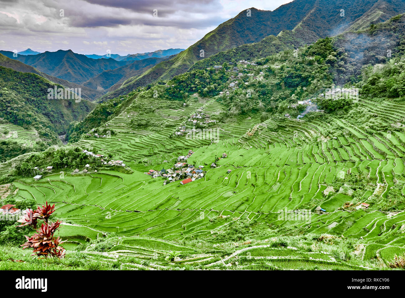 rice paddy terrace fields between banaue and batad infugao Luzon in Philippines Stock Photo