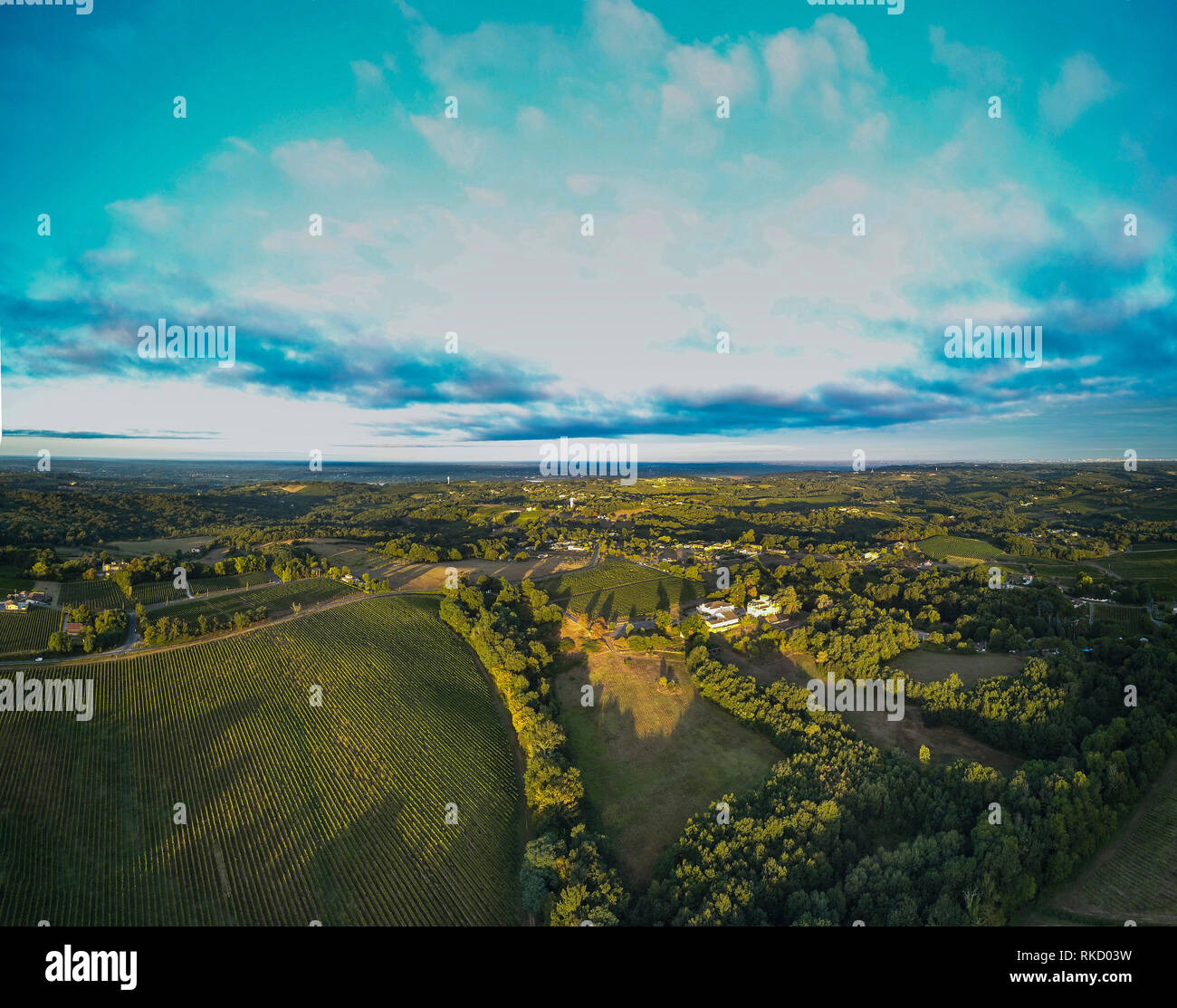 Aerial view Bordeaux Vineyard at sunrise,film by drone in summer, Entre deux mers, Capian Stock Photo