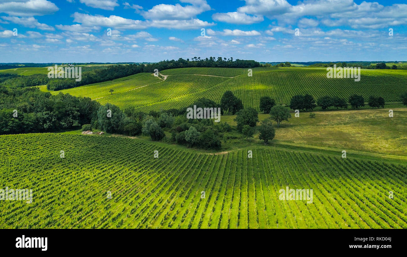 Aerial view Bordeaux Vineyard at sunrise,film by drone in summer, Entre deux mers, Capian Stock Photo