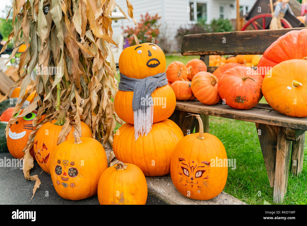 Halloween decoration with pumpkins at Quebec, Canada Stock Photo Alamy