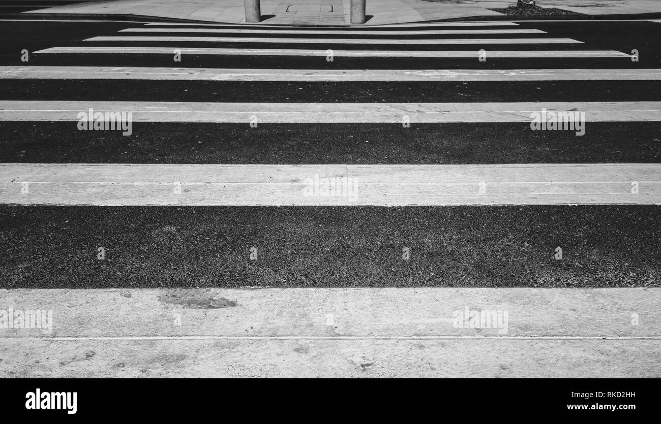 Zebra Crossing Black and White Stock Photos & Images Alamy