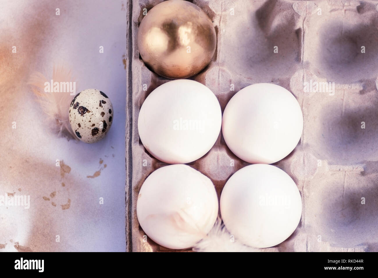 one gold egg lays among common white eggs and quail egg in tray Stock