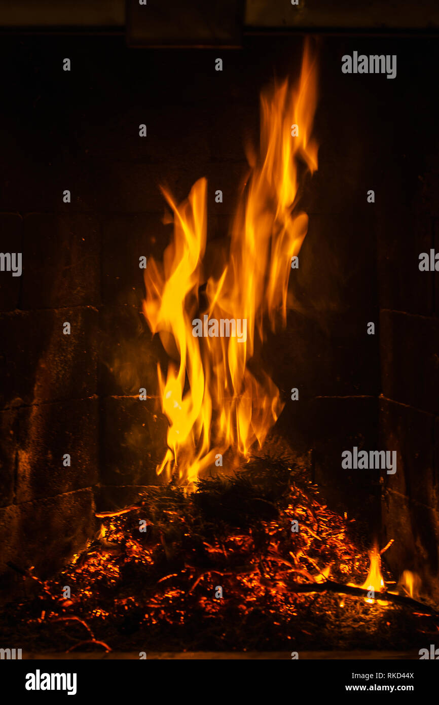 background bonfire from branches. flame sparks of fire on a black ...