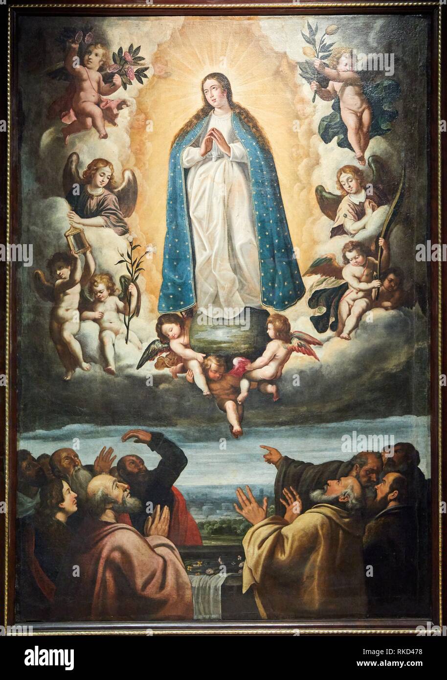 Cathedral assumption of mary hi-res stock photography and images - Alamy