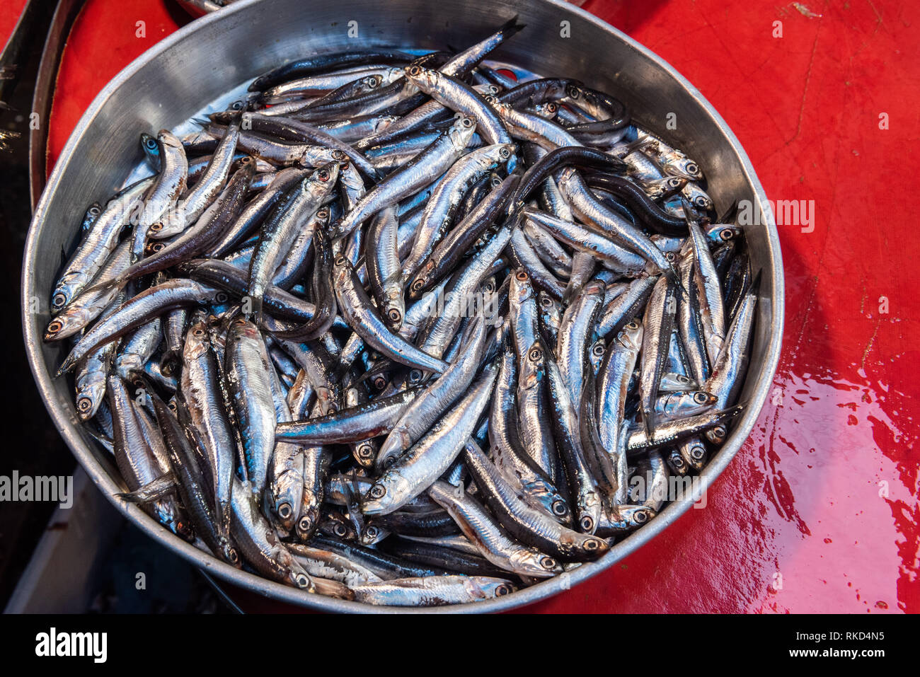 Basin of European anchovy (hamsi) for sale at a Turkish market. Stock Photo