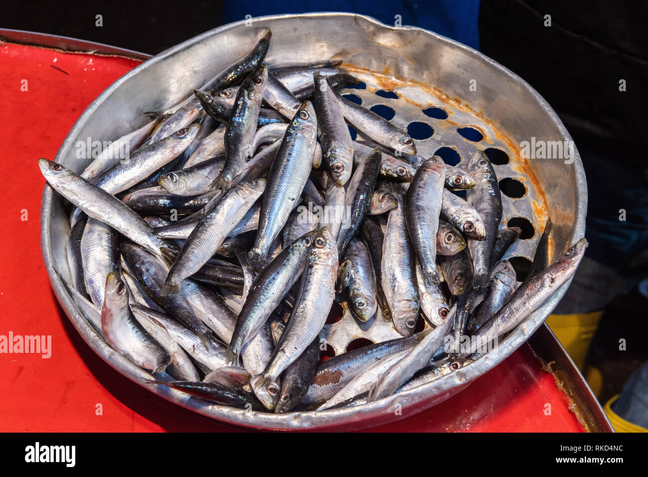 Basin of European anchovy (hamsi) for sale at a Turkish market. Stock Photo