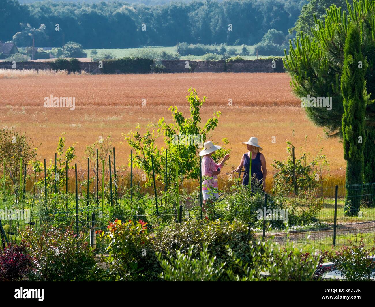 Gardeners in rural environment. France Stock Photo