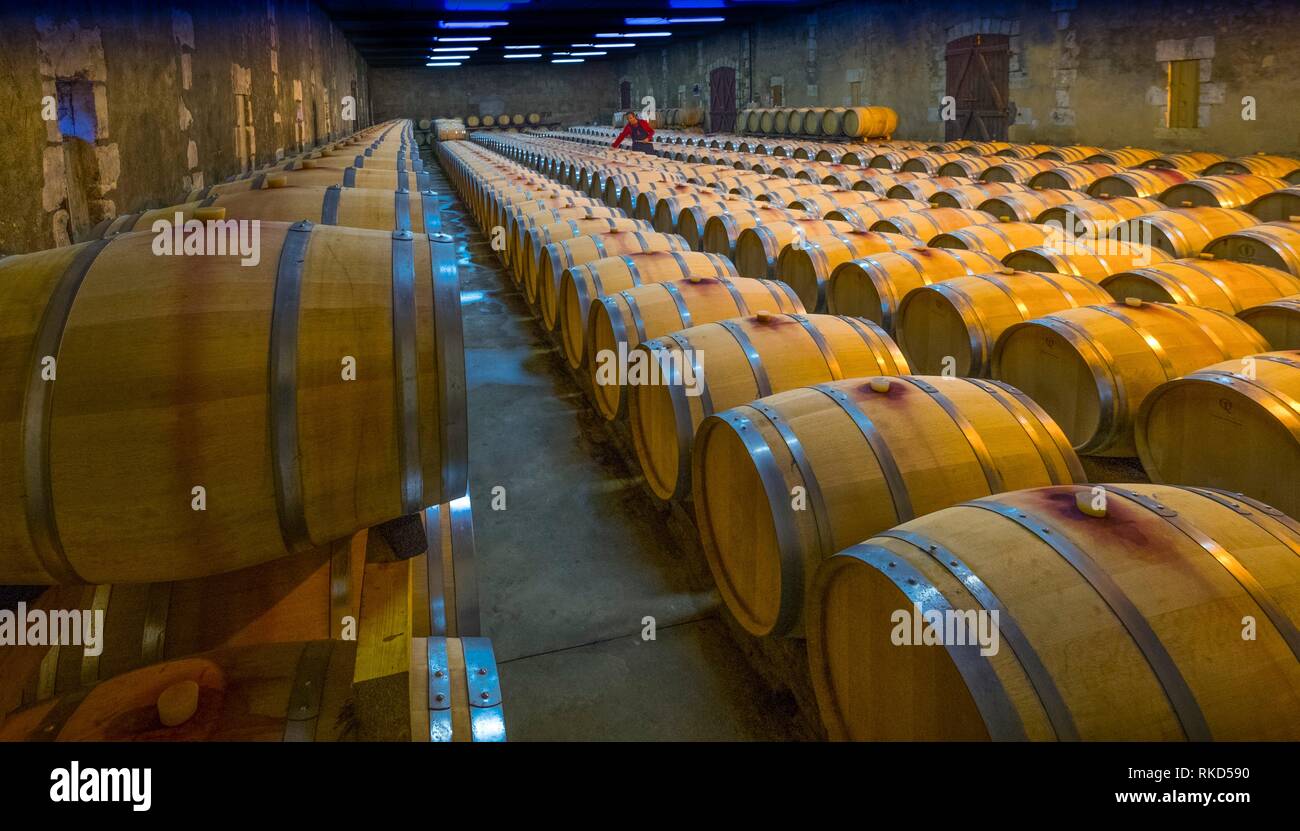 France, Nouvelle Aquitaine, Dordogne, Cellar of Alliance Aquitaine, at Bergerac. Wines ageing cellar with more than 450 barrels of french oak, full Stock Photo