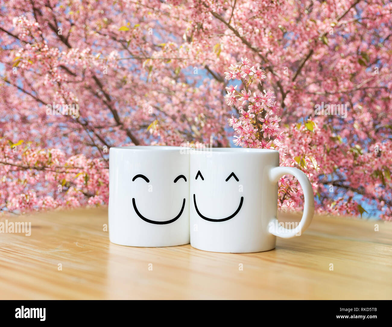 Two happy cups on Beautiful Pink Sakura background, Valentine lover concept Stock Photo