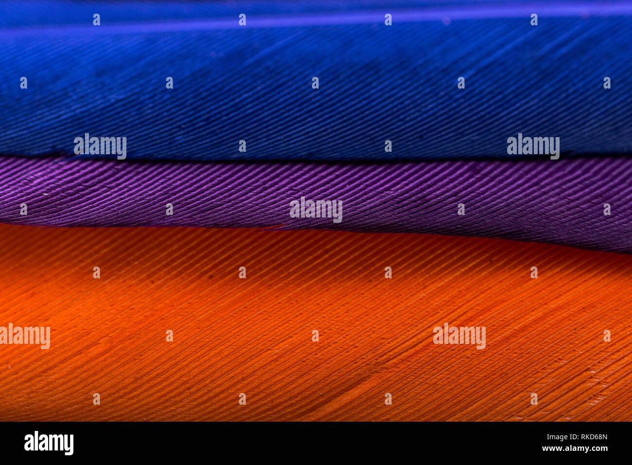 Studio shot photo of colored bird feathers as texture background Stock ...