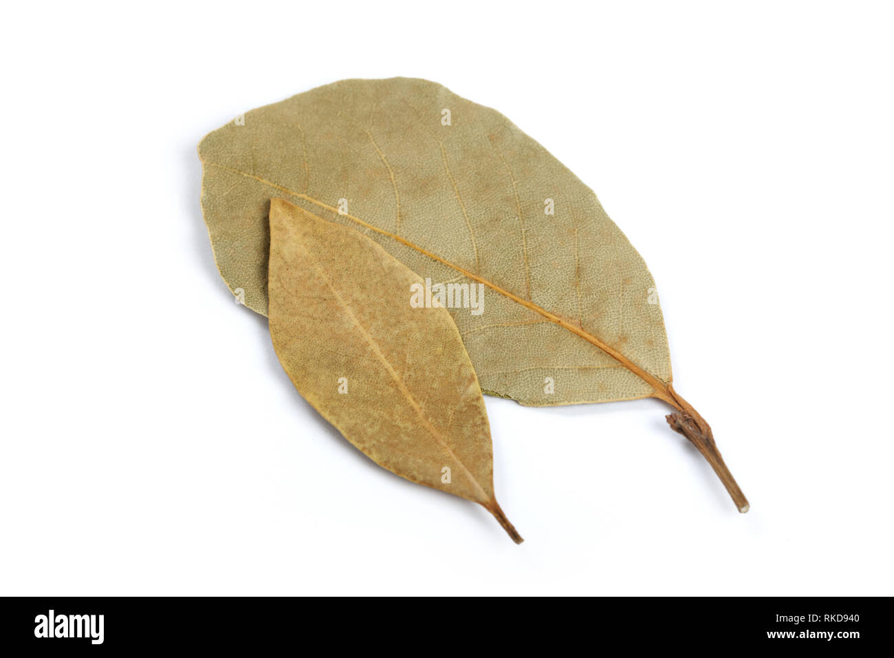 dried bay leaves isolated on a white background Stock Photo Alamy