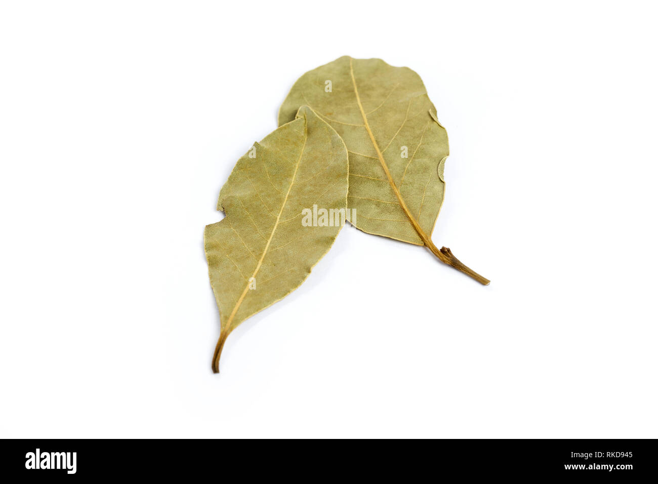 dried bay leaves isolated on a white background. Stock Photo
