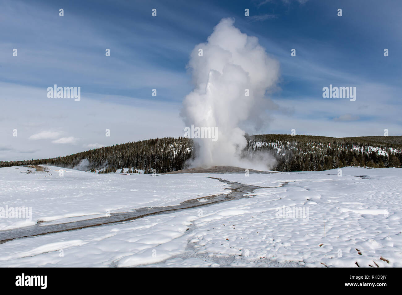 Eruption of Old Faithful geyser in Yellowstone National Park in Wyoming, USA Stock Photo