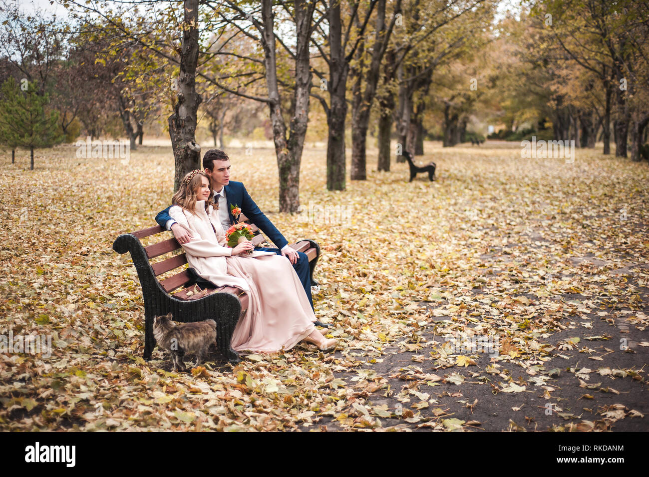 The beautiful bride and handsome groom sitting on a bench in the Stock ...