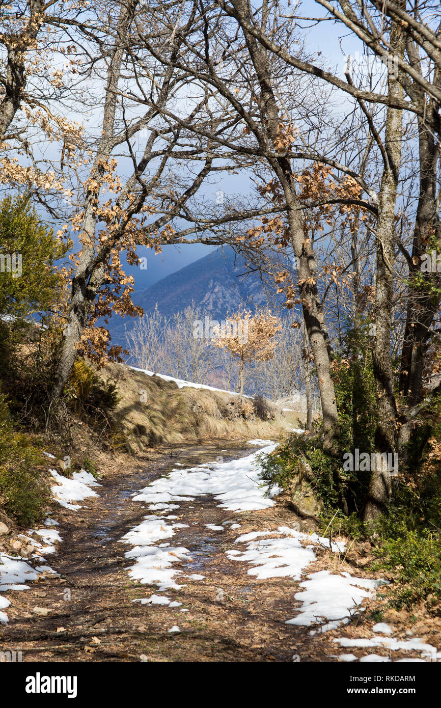 Snow spring sunshine hi-res stock photography and images - Alamy