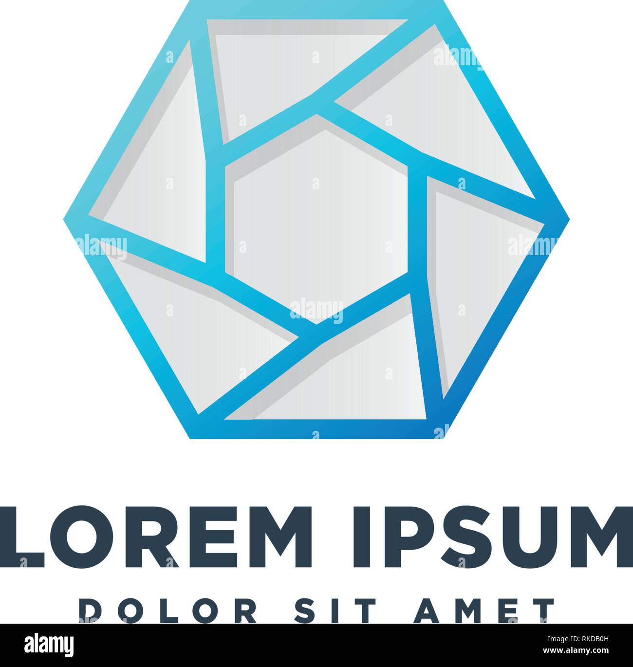 photography hexagon logo template vector illustration icon element ...