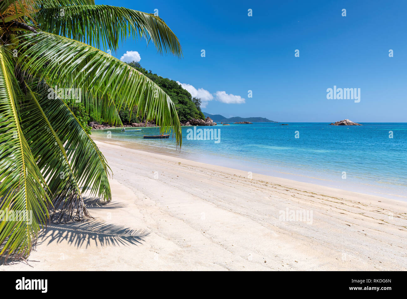 Exotic tropical beach Stock Photo