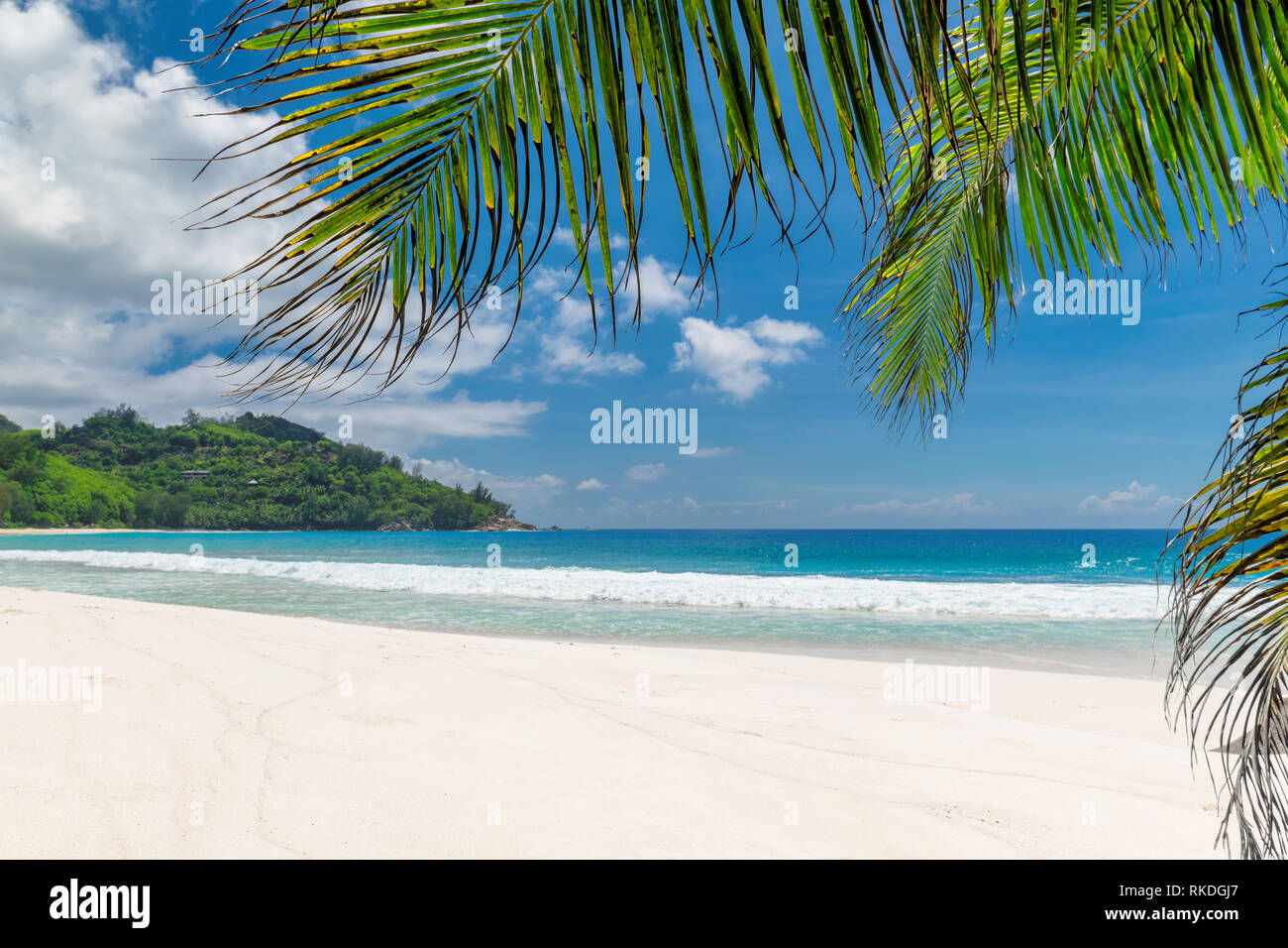 Beautiful beach background Stock Photo