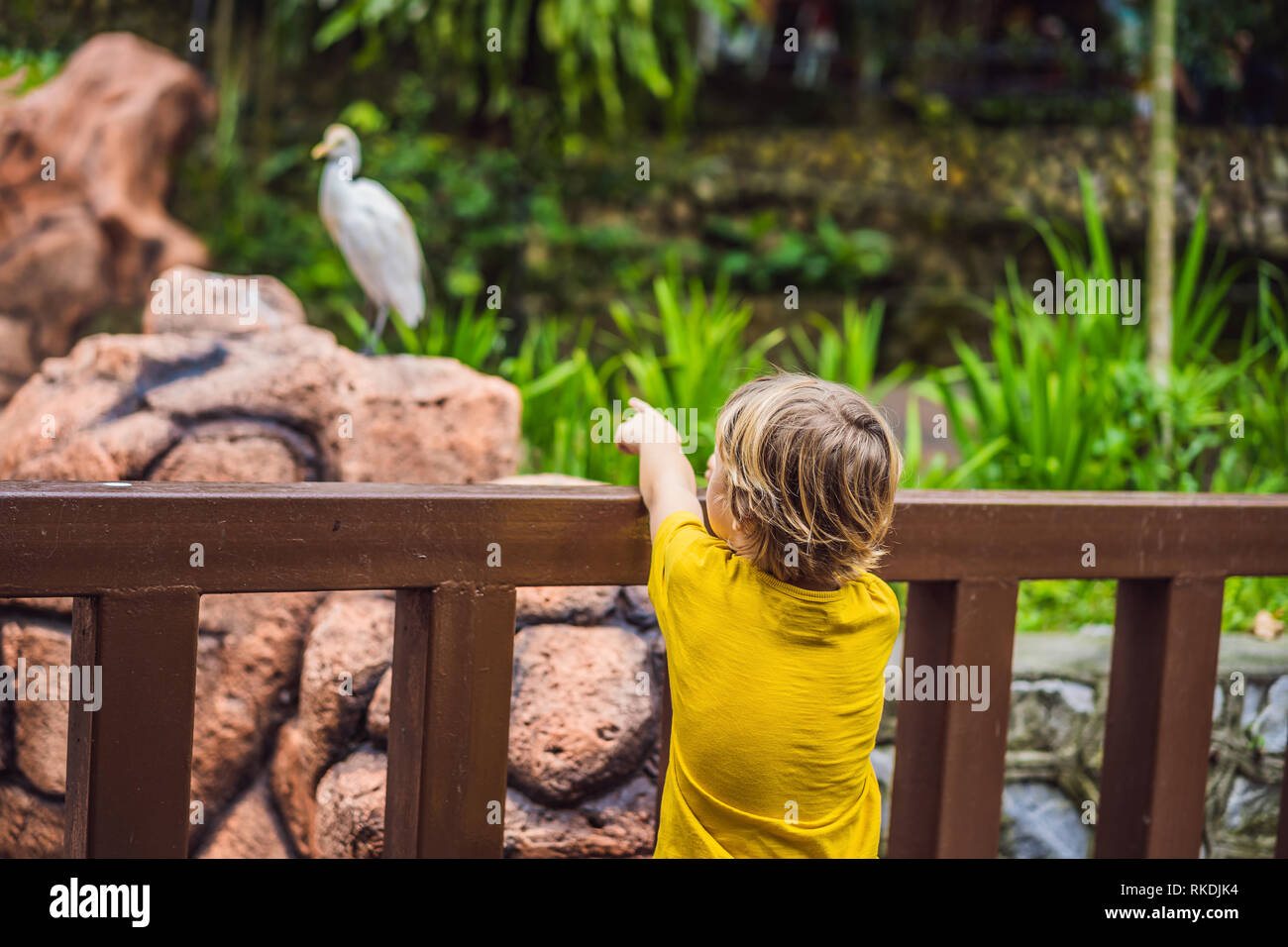 Boy in the birds park. Weekend with kids, fun Stock Photo - Alamy