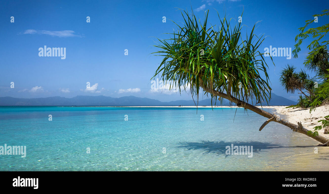 Philippine Island Beach with tropical Tree Over Sea - Bonbon Beach -  Romblon, Philippines Stock Photo