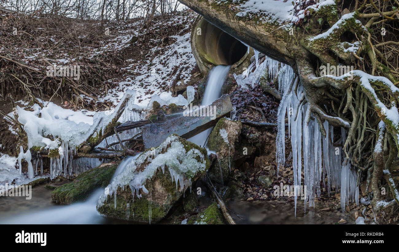 Ice covers roots and branches during winter in Germany Stock Photo - Alamy