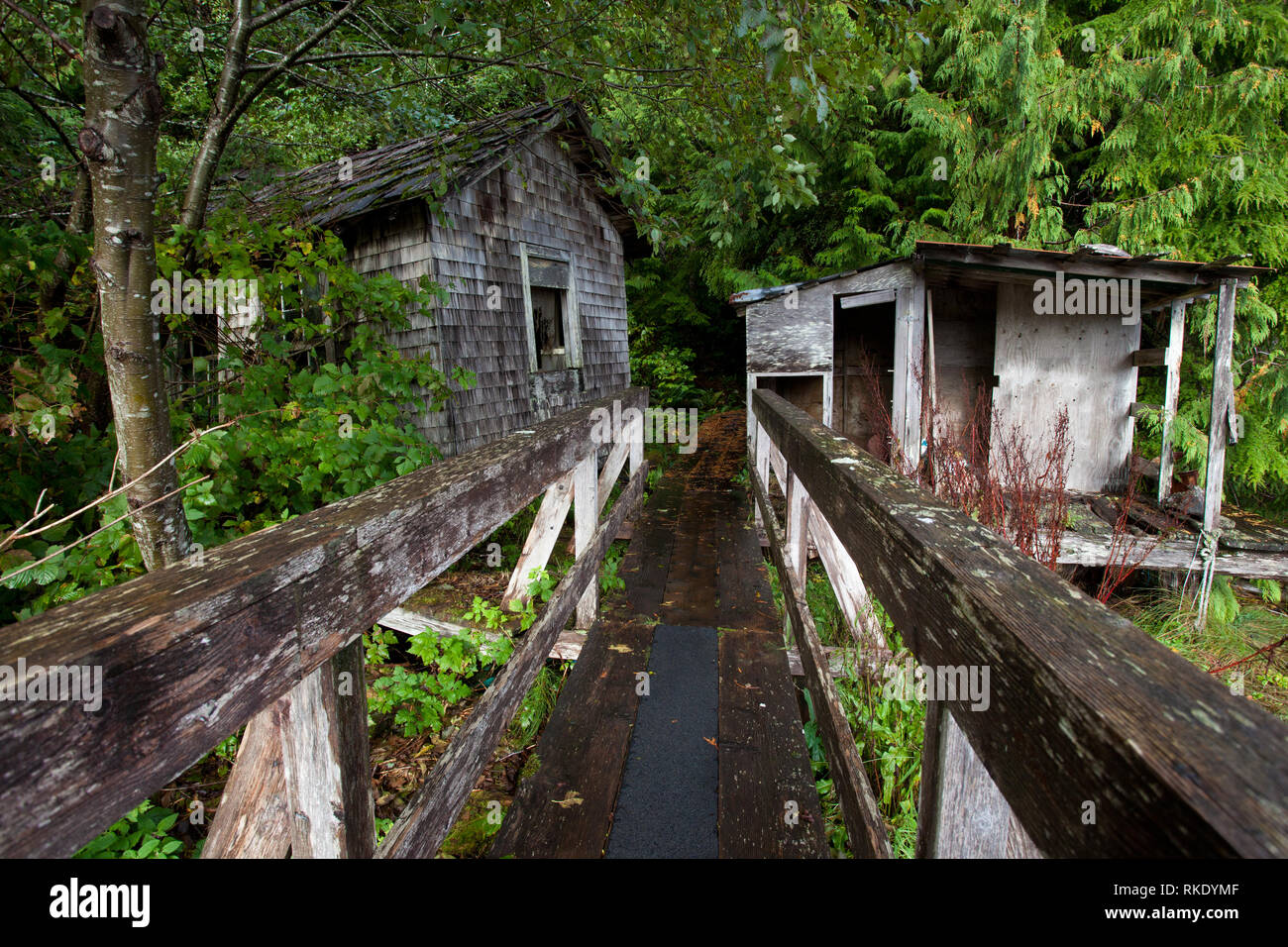 Winter Harbour, Vancouver Island, British Columbia, Canada Stock Photo Alamy