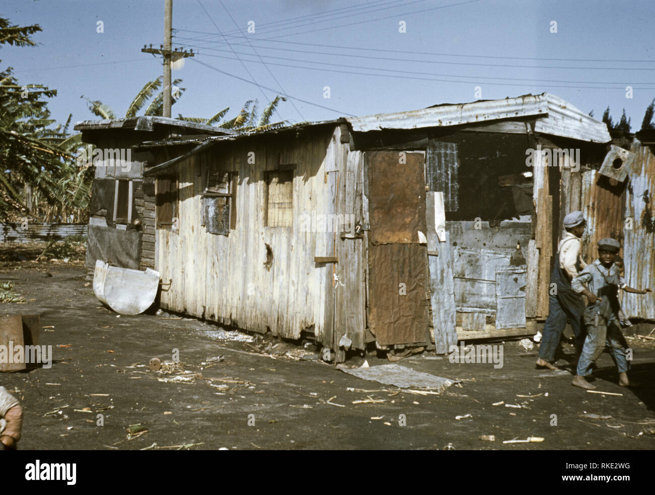 Florida sugarcane hires stock photography and images Alamy