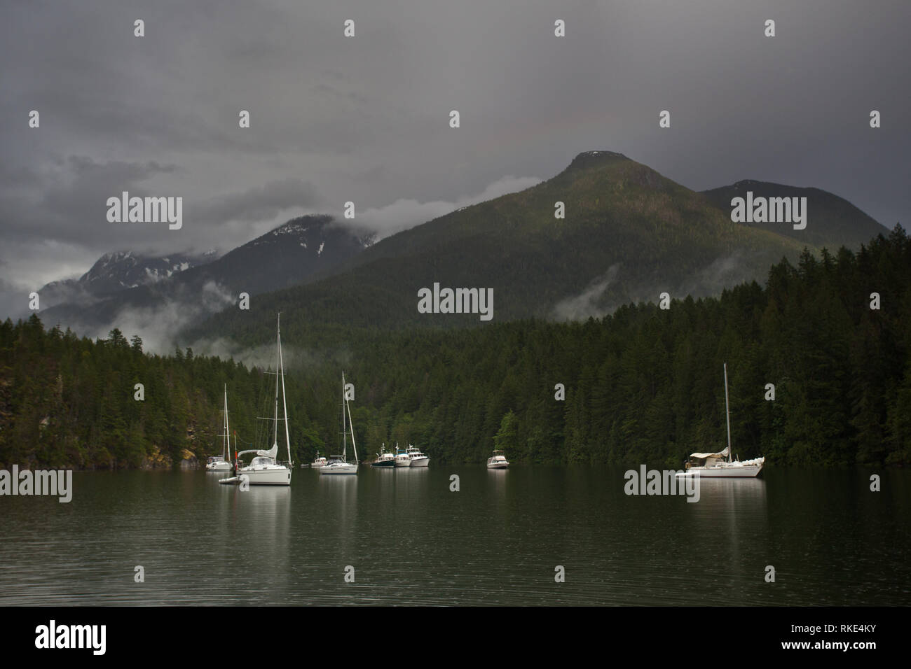 Prideaux Haven, Desolation Sound, British Columbia, Canada Stock Photo