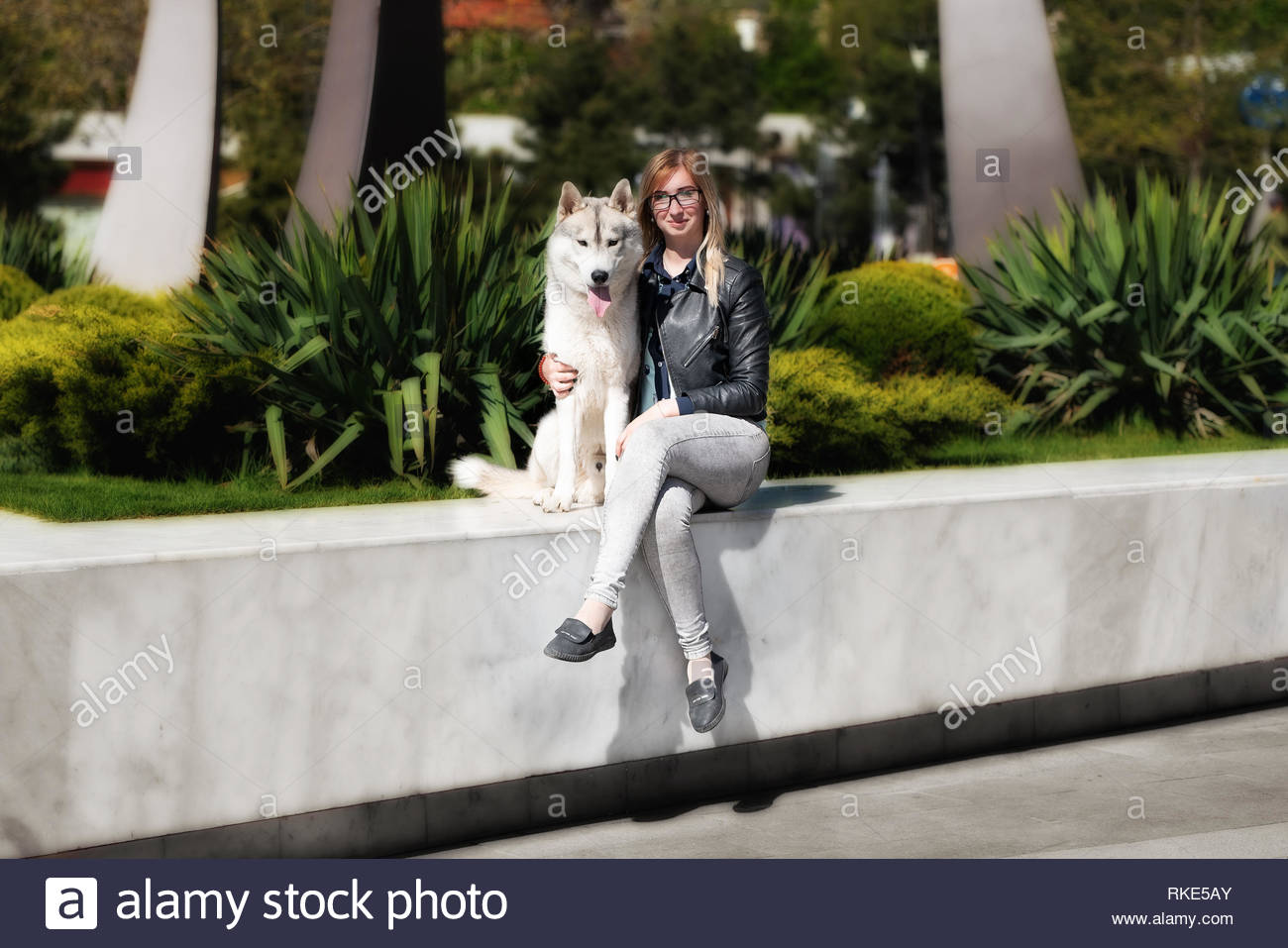 A Grey Siberian Husky Male Dog Is Sitting With Young Caucasian
