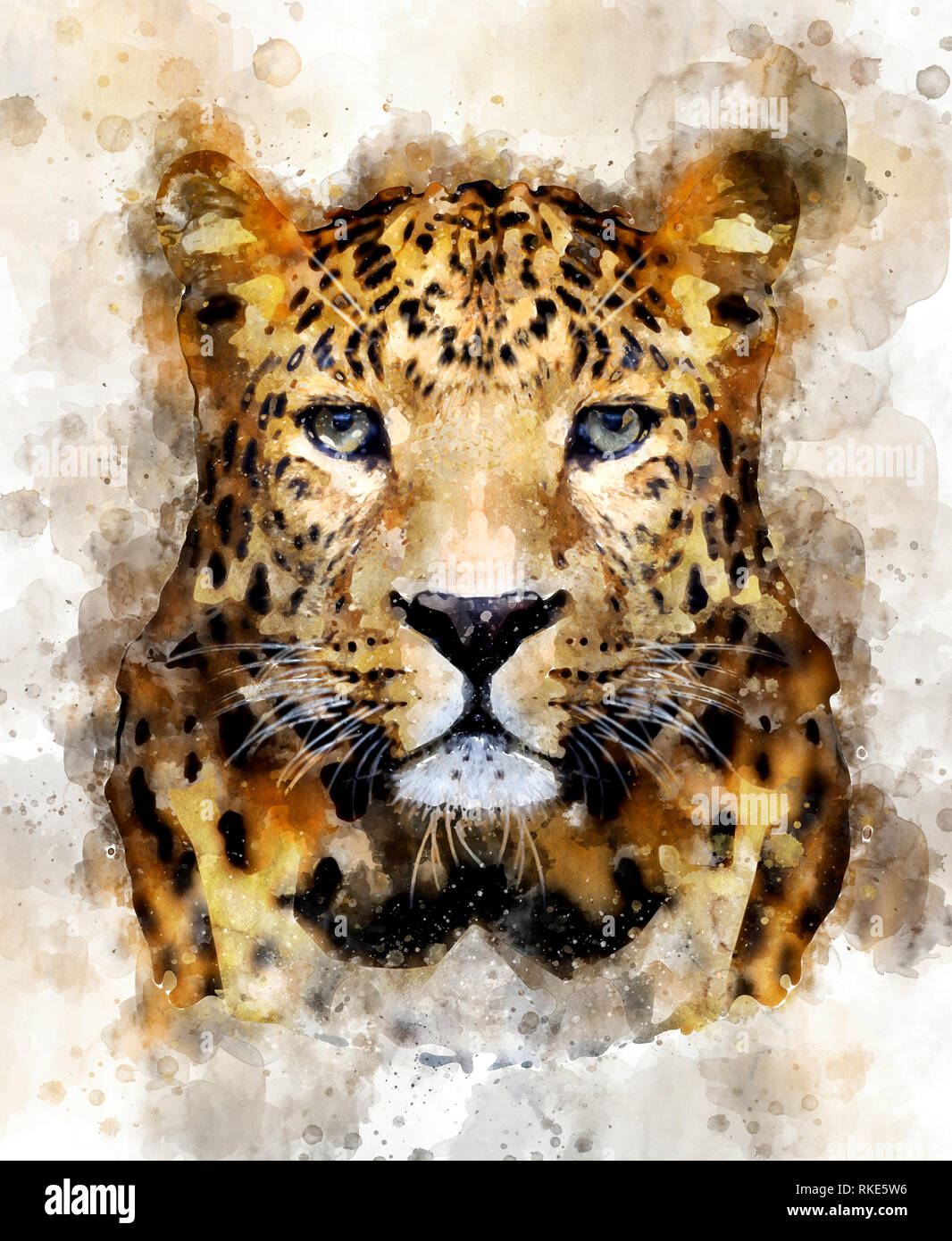 https://c8.alamy.com/comp/RKE5W6/watercolor-illustration-leopard-portrait-beautiful-wildlife-world-RKE5W6.jpg