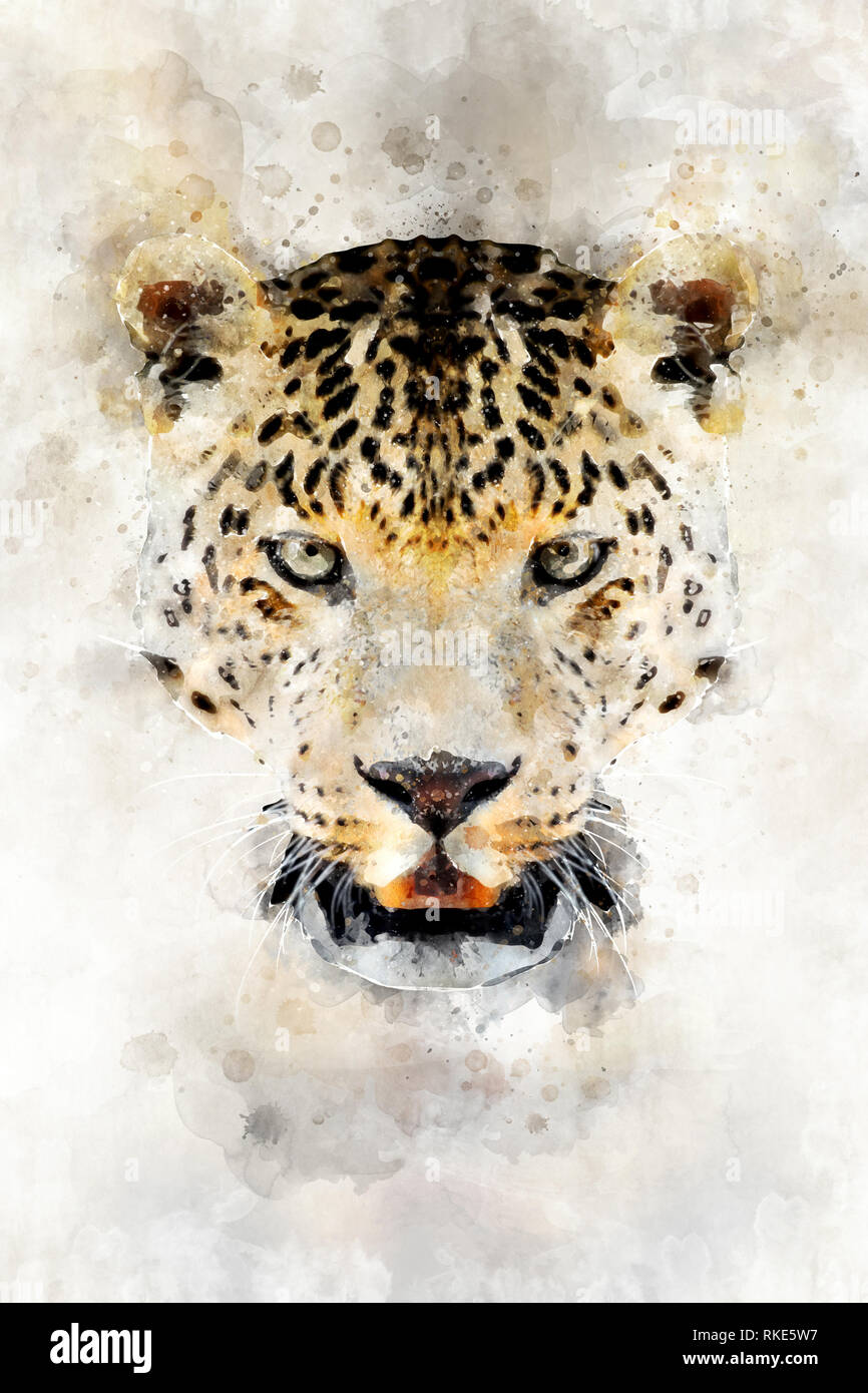 Watercolor illustration leopard portrait. Beautiful wildlife world
