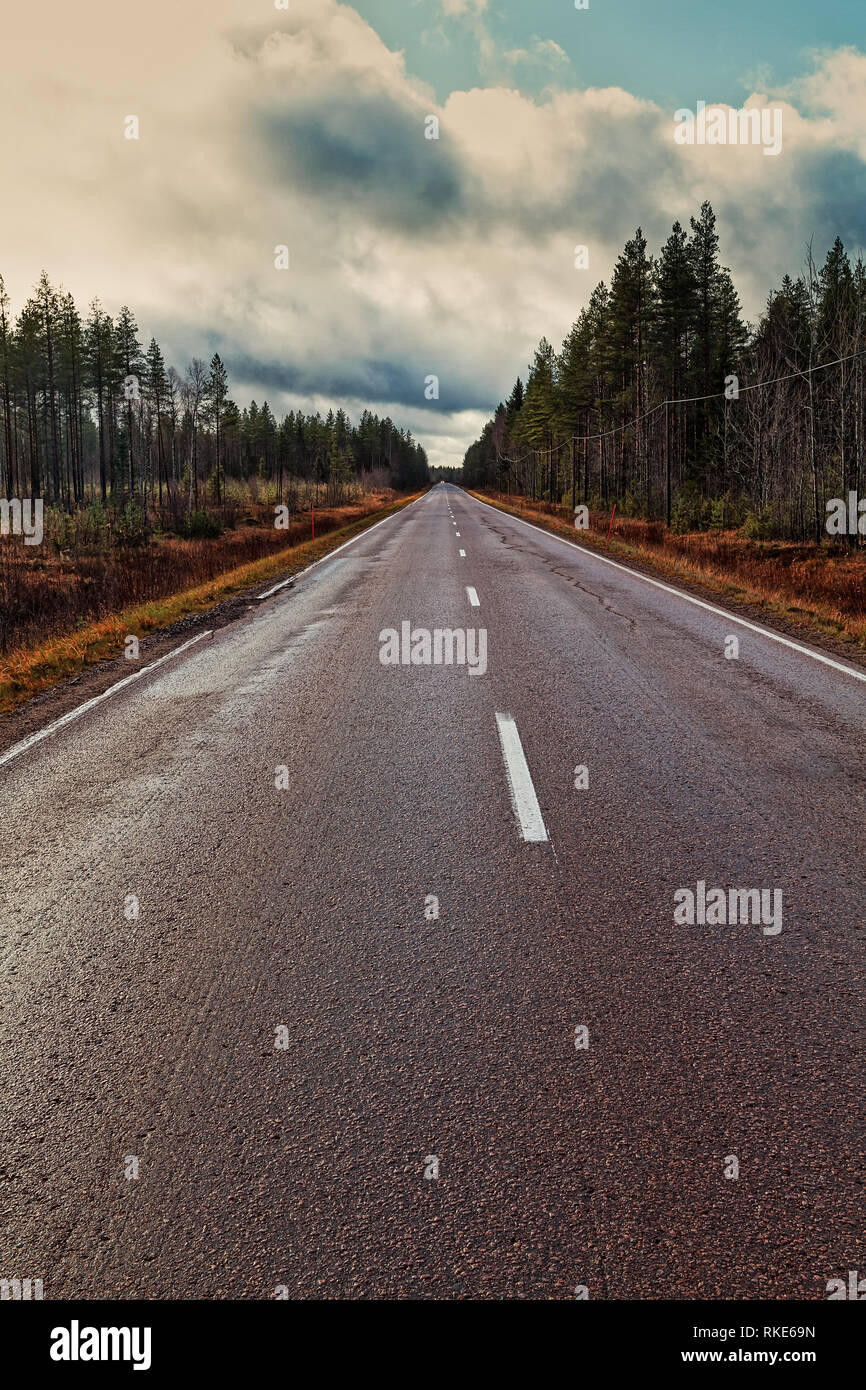 A Lonely Road Leads To The Horizon At The Rural Finland The Vivid Autumn Colors Make The Surrounding Nature Look Like Fantasy Land Stock Photo Alamy alamy