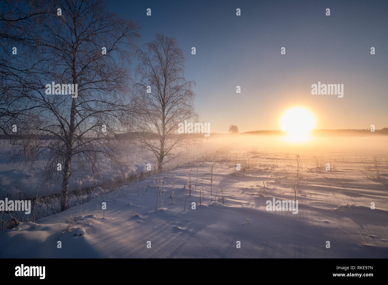 Scenic winter landscape with sunrise and fog at morning in Finland Stock Photo
