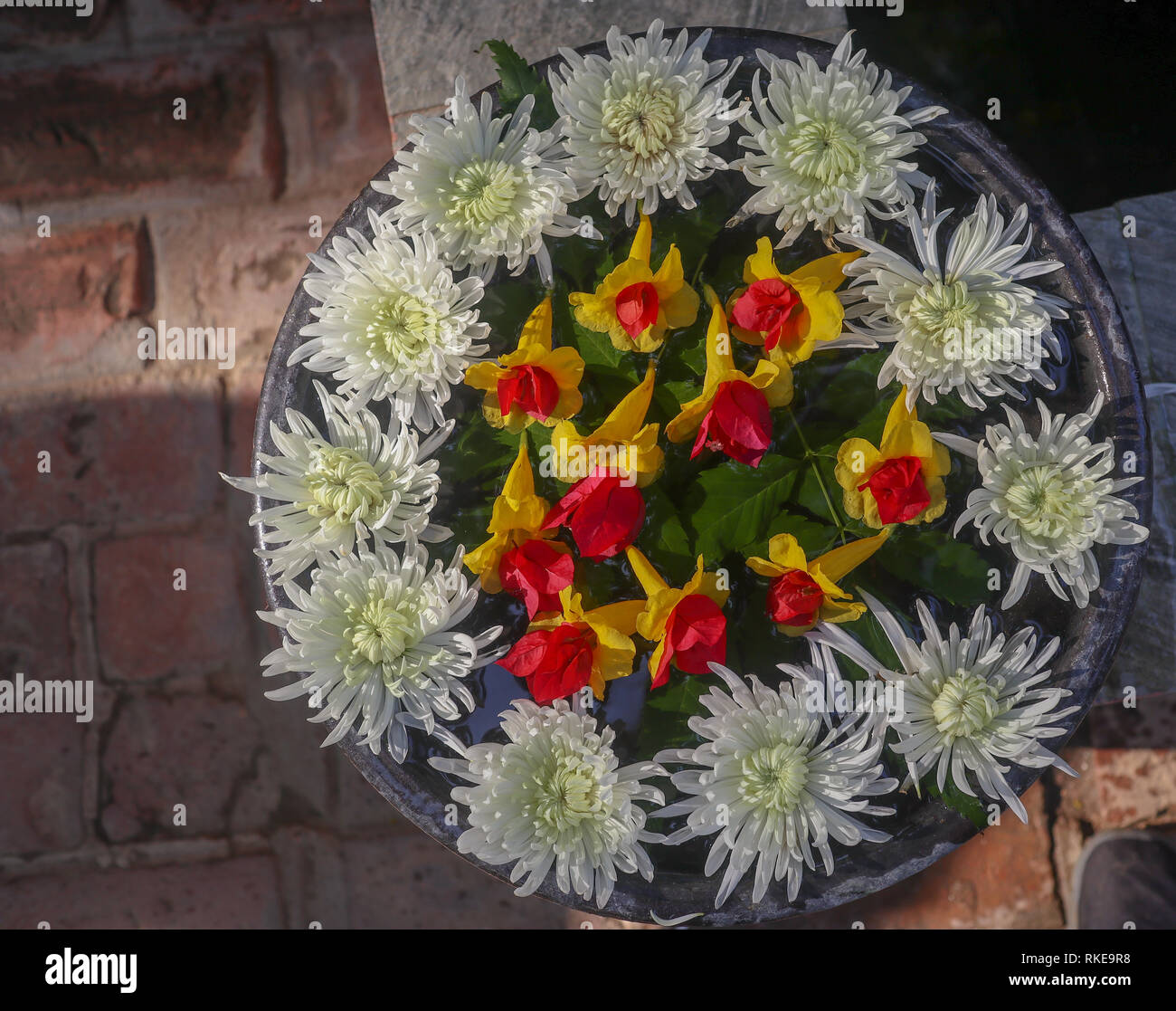 decorative flowers in a vase in zen style Stock Photo Alamy